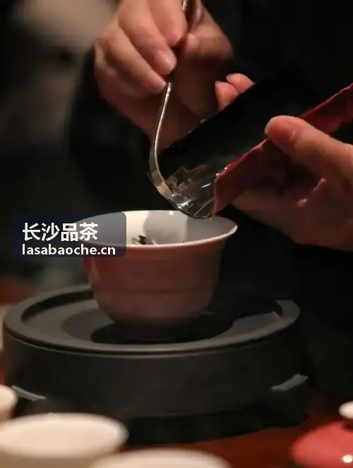 长沙品茶·茶会活动服务
